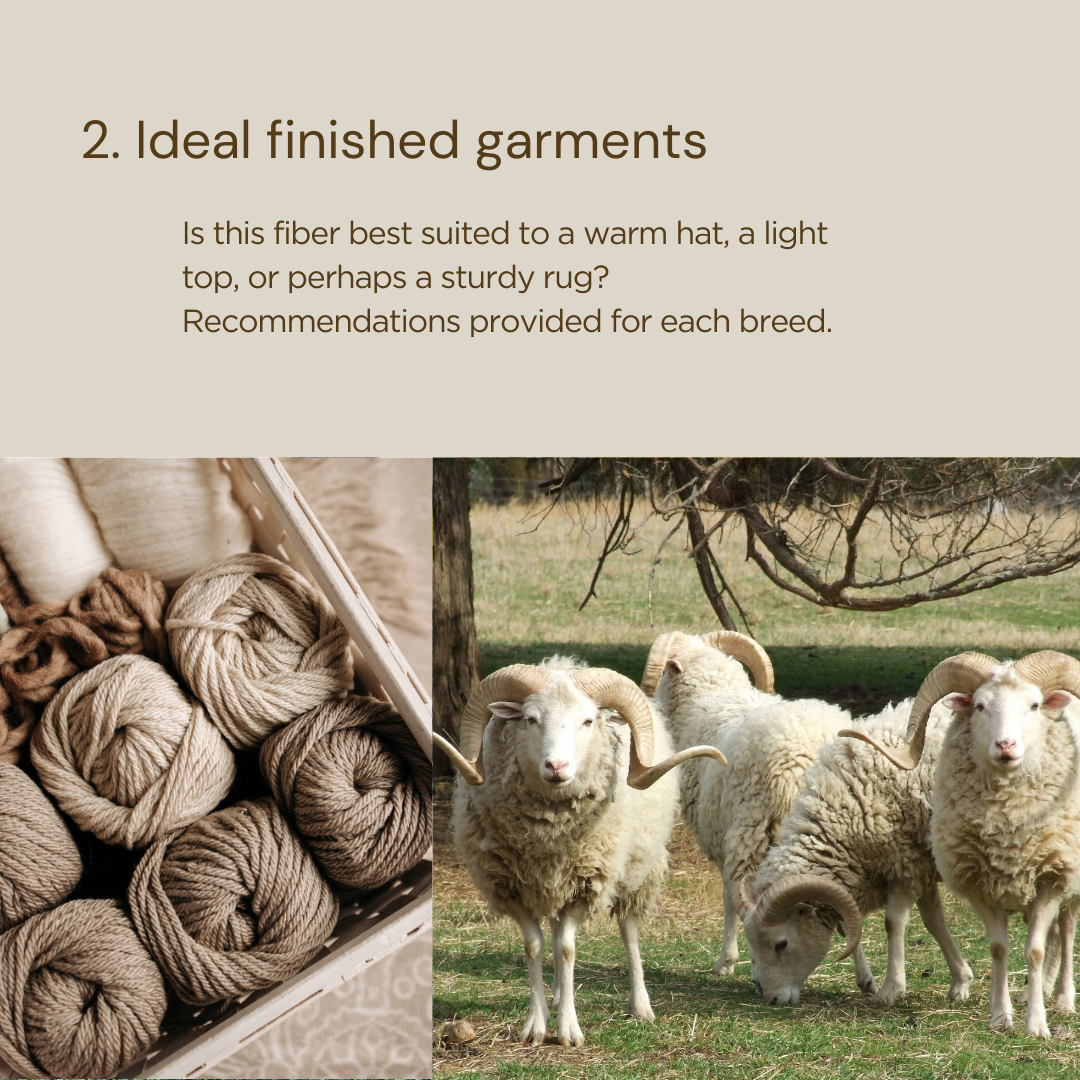 Shave 'em 2 Save 'em E-Book