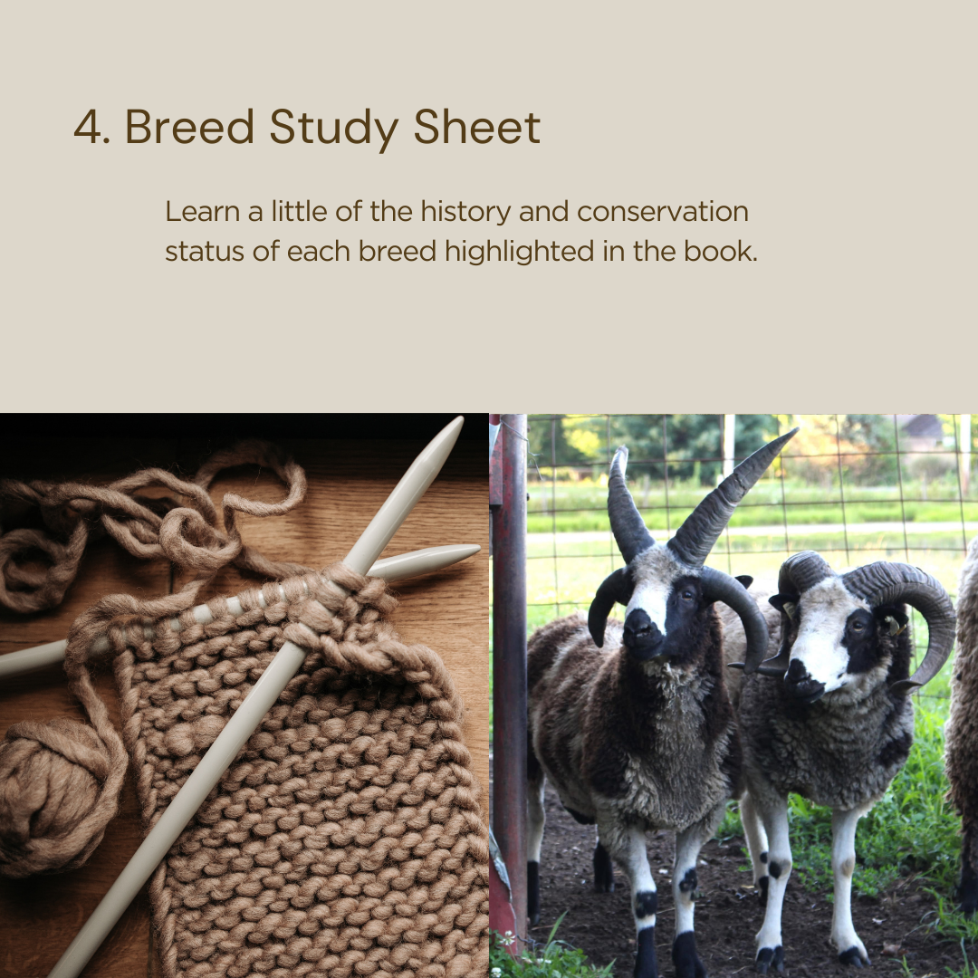 Shave 'em 2 Save 'em E-Book