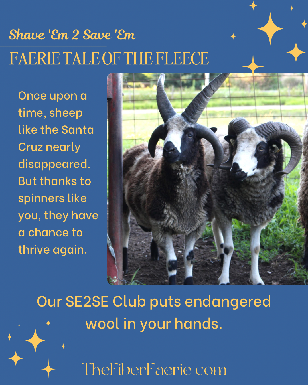 SE2SE Exclusive Fiber Club