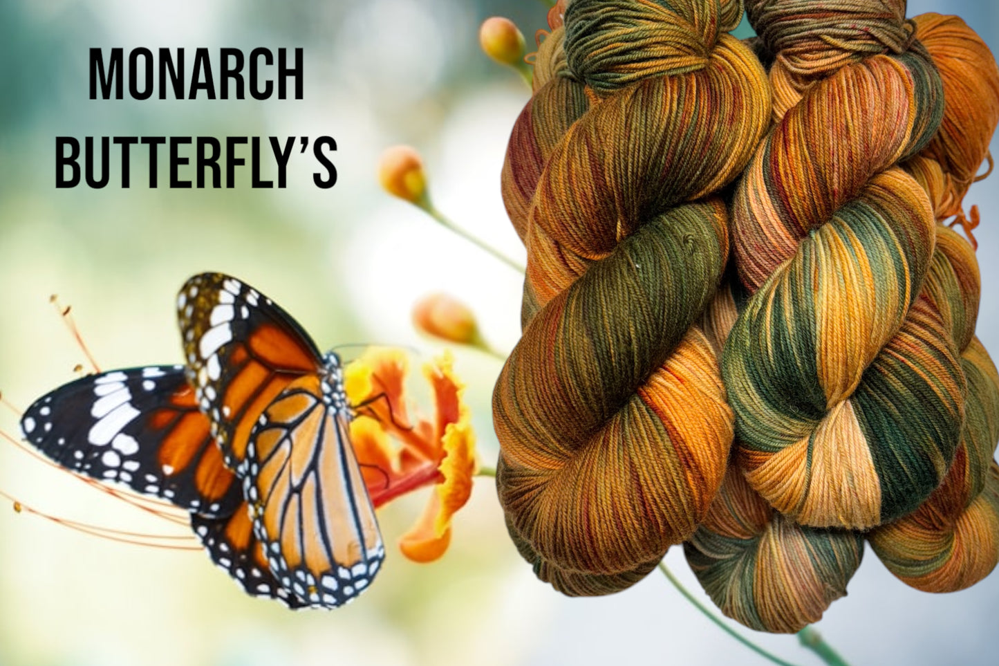 "Monarch Butterfly's" Fingering / Sock Yarn