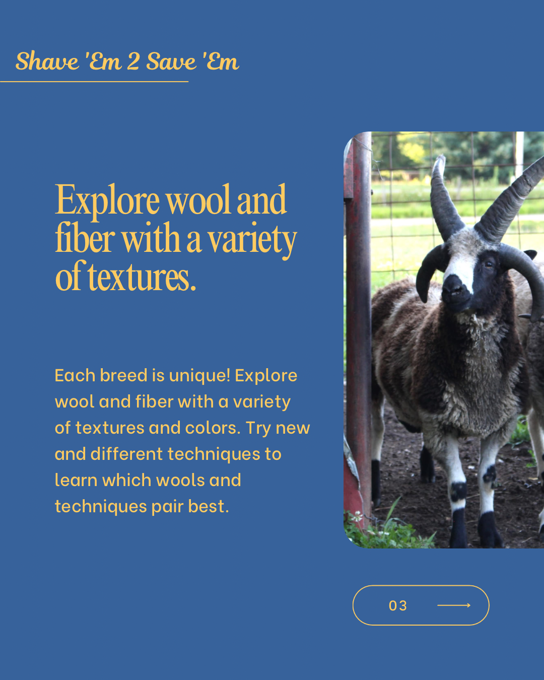 SE2SE Exclusive Fiber Club