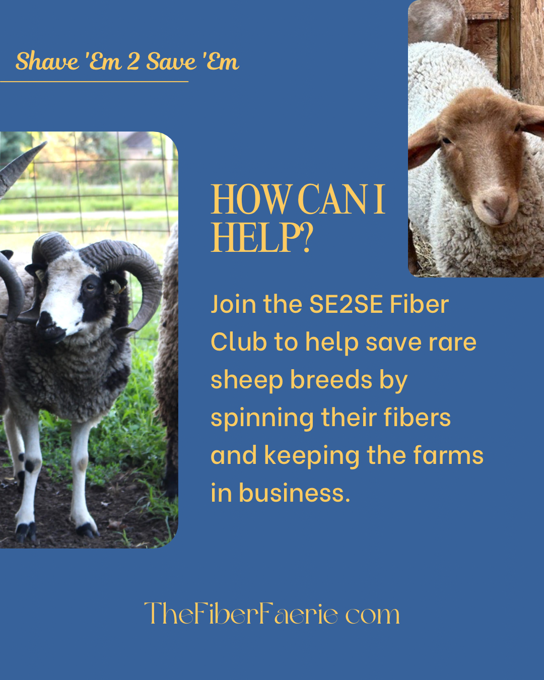 SE2SE Exclusive Fiber Club