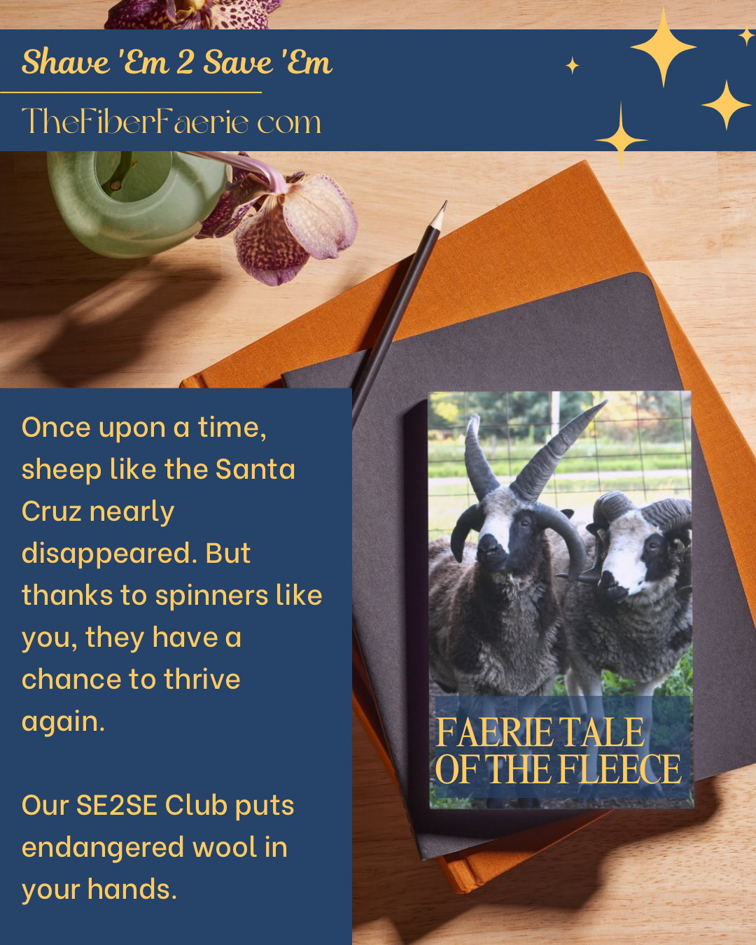 SE2SE Exclusive Fiber Club
